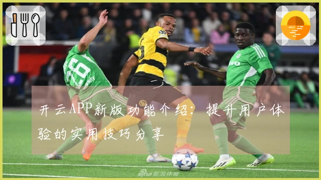 开云APP新版功能介绍：提升用户体验的实用技巧分享