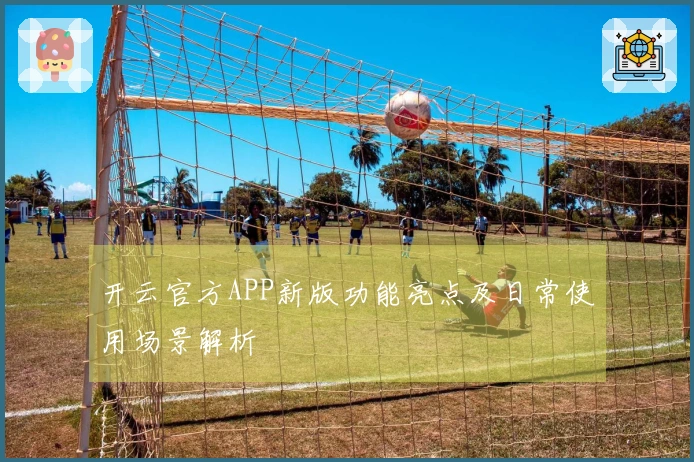 开云官方APP新版功能亮点及日常使用场景解析